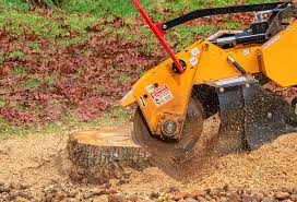 Best Grass Overseeding  in Bourbon, MO